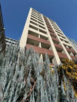 パークリュクス白金mono 