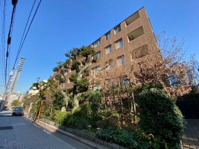 ライオンズガーデン四谷津の守坂