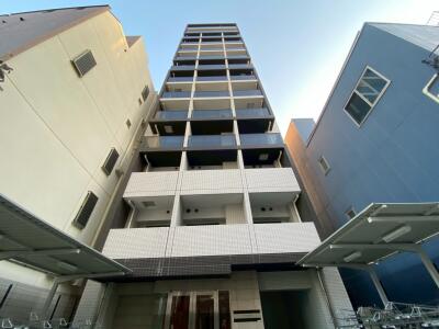 ラドゥセール東中野