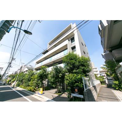 ワイズパティオ